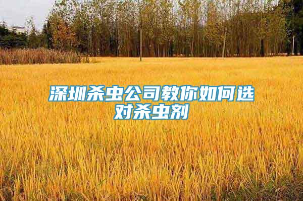 深圳殺蟲公司教你如何選對殺蟲劑