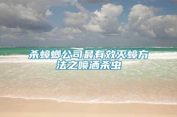 殺蟑螂公司最有效滅蟑方法之噴灑殺蟲