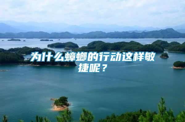 為什么蟑螂的行動這樣敏捷呢？