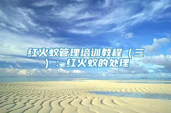 紅火蟻管理培訓(xùn)教程（三）：紅火蟻的處理