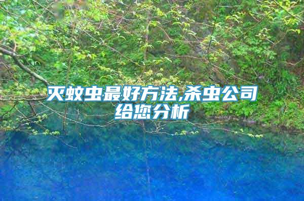 滅蚊蟲最好方法,殺蟲公司給您分析