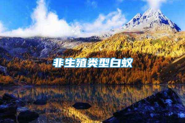 非生殖類型白蟻