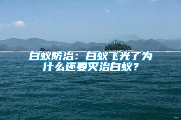 白蟻防治：白蟻飛光了為什么還要滅治白蟻？