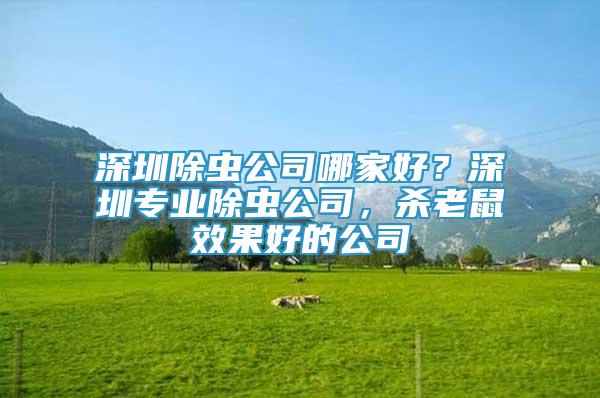 深圳除蟲公司哪家好？深圳專業(yè)除蟲公司，殺老鼠效果好的公司