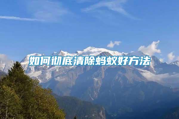 如何徹底清除螞蟻好方法