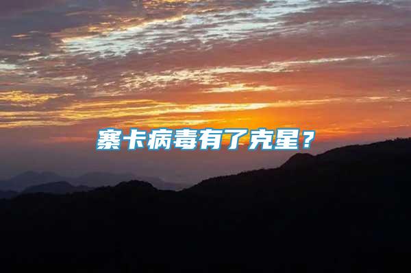 寨卡病毒有了克星？