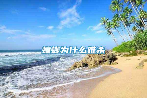 蟑螂為什么難殺