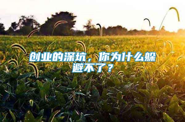 創(chuàng)業(yè)的深坑，你為什么躲避不了？