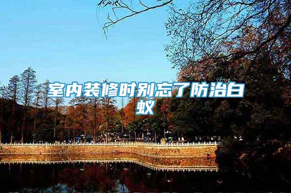 室內(nèi)裝修時(shí)別忘了防治白蟻