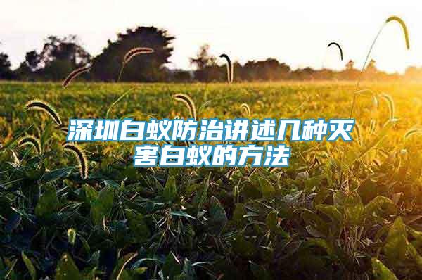 深圳白蟻防治講述幾種滅害白蟻的方法