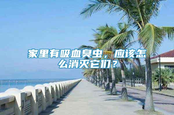 家里有吸血臭蟲，應(yīng)該怎么消滅它們？