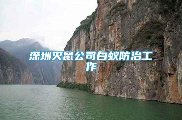 深圳滅鼠公司白蟻防治工作