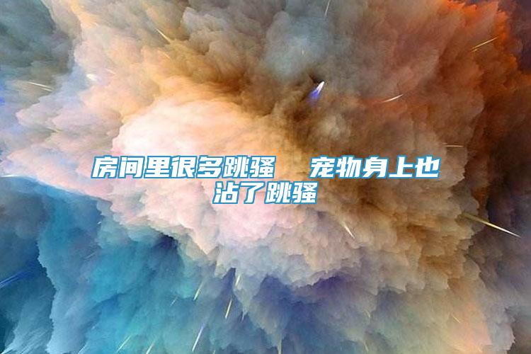 房間里很多跳騷  寵物身上也沾了跳騷