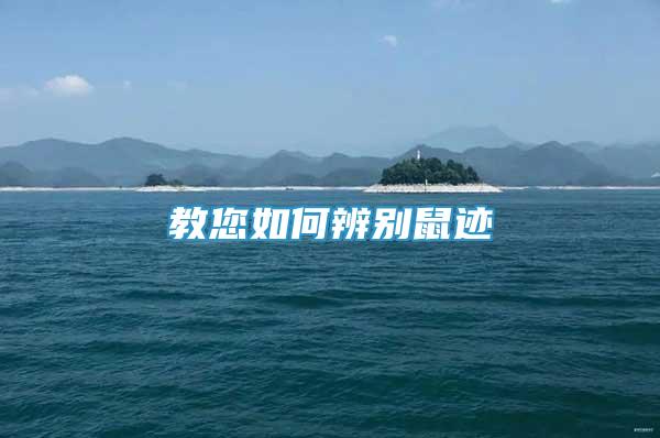 教您如何辨別鼠跡