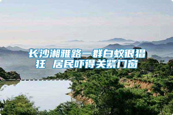 長沙湘雅路一群白蟻很猖狂 居民嚇得關(guān)緊門窗