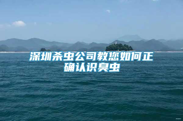 深圳殺蟲公司教您如何正確認(rèn)識臭蟲