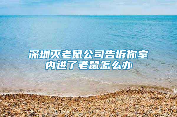 深圳滅老鼠公司告訴你室內(nèi)進(jìn)了老鼠怎么辦