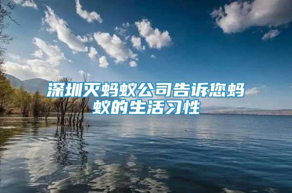 深圳滅螞蟻公司告訴您螞蟻的生活習性