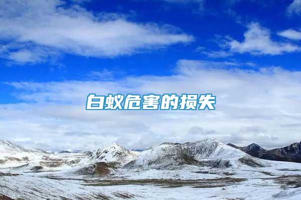 白蟻危害的損失