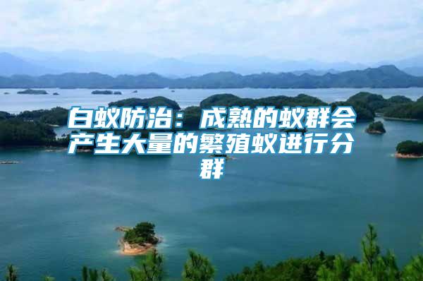 白蟻防治：成熟的蟻群會(huì)產(chǎn)生大量的繁殖蟻進(jìn)行分群