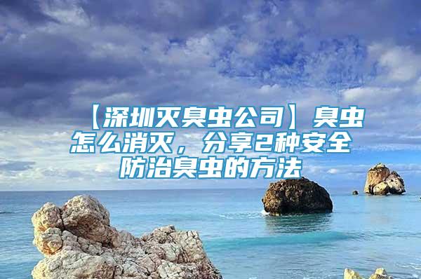 【深圳滅臭蟲公司】臭蟲怎么消滅，分享2種安全防治臭蟲的方法