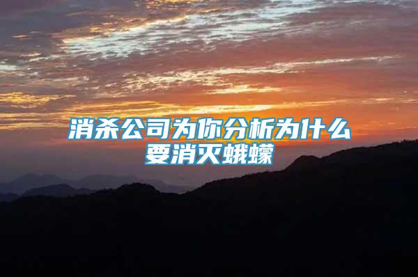消殺公司為你分析為什么要消滅蛾蠓