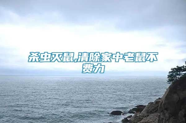 殺蟲滅鼠,清除家中老鼠不費力