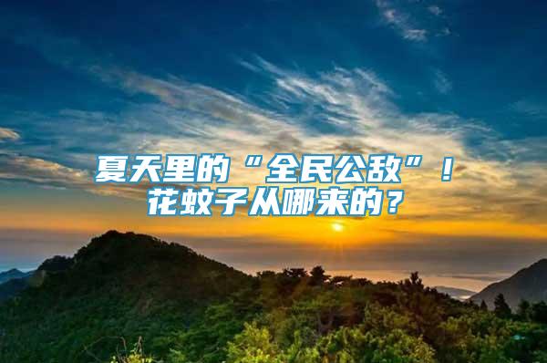 夏天里的“全民公敵”！花蚊子從哪來(lái)的？