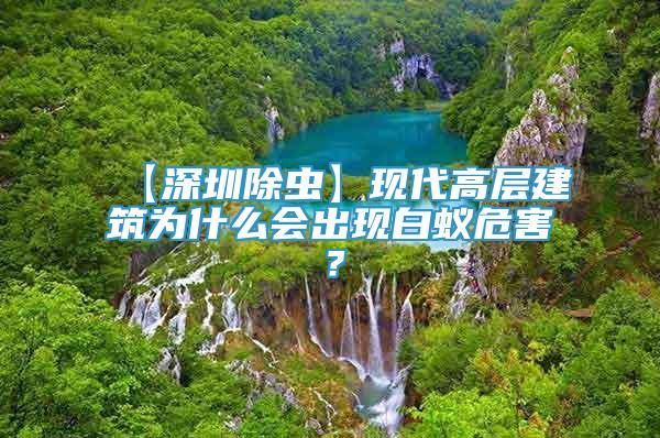 【深圳除蟲】現(xiàn)代高層建筑為什么會(huì)出現(xiàn)白蟻危害？