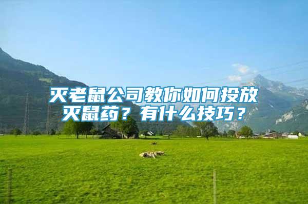 滅老鼠公司教你如何投放滅鼠藥？有什么技巧？