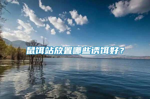 鼠餌站放置哪些誘餌好？