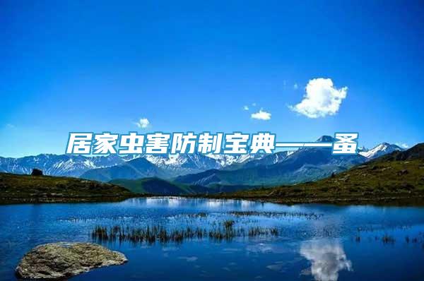 居家蟲害防制寶典——蚤