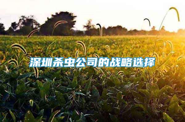 深圳殺蟲(chóng)公司的戰(zhàn)略選擇