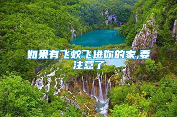 如果有飛蟻飛進(jìn)你的家,要注意了