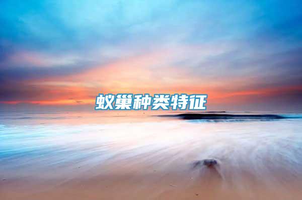 蟻巢種類特征