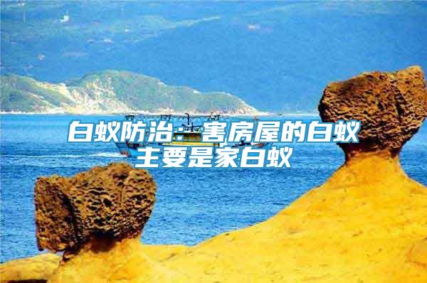 白蟻防治：害房屋的白蟻主要是家白蟻