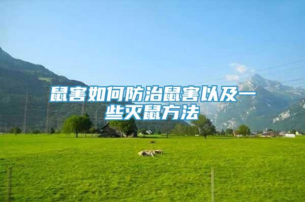 鼠害如何防治鼠害以及一些滅鼠方法