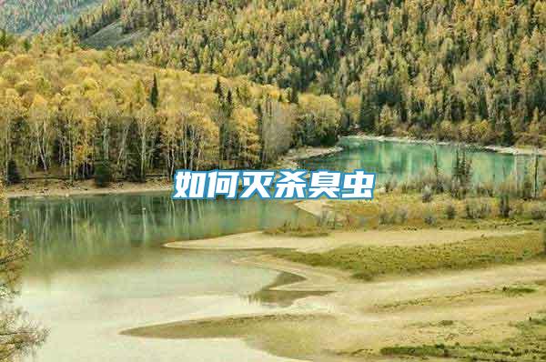 如何滅殺臭蟲(chóng)