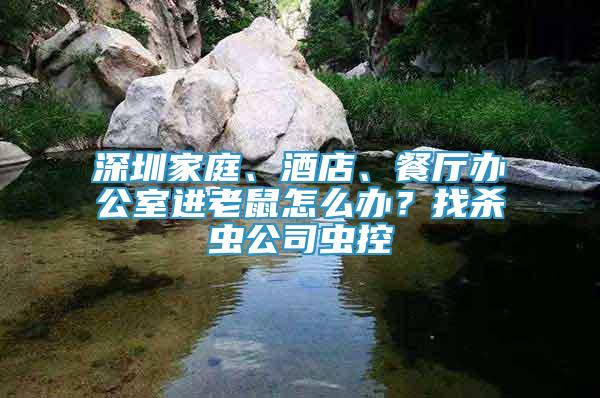 深圳家庭、酒店、餐廳辦公室進(jìn)老鼠怎么辦？找殺蟲公司蟲控