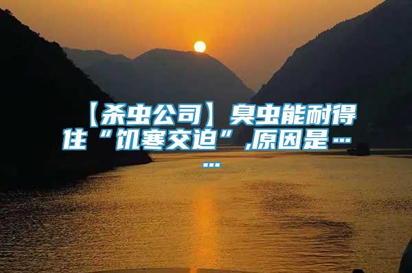 【殺蟲公司】臭蟲能耐得住“饑寒交迫”,原因是……