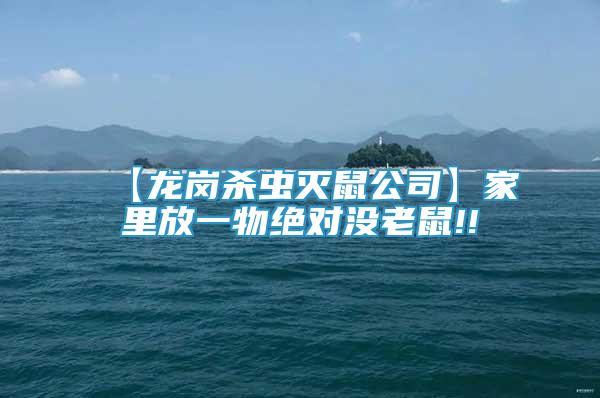【龍崗殺蟲滅鼠公司】家里放一物絕對沒老鼠!!