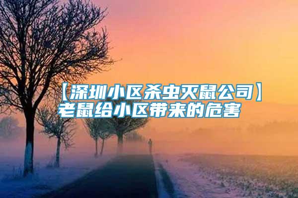 【深圳小區(qū)殺蟲滅鼠公司】老鼠給小區(qū)帶來的危害