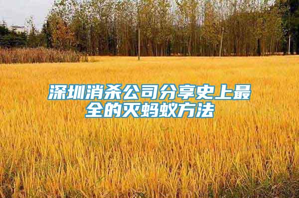 深圳消殺公司分享史上最全的滅螞蟻方法