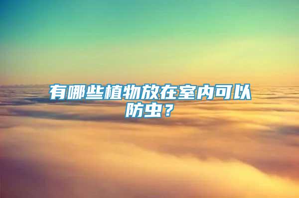 有哪些植物放在室內(nèi)可以防蟲？