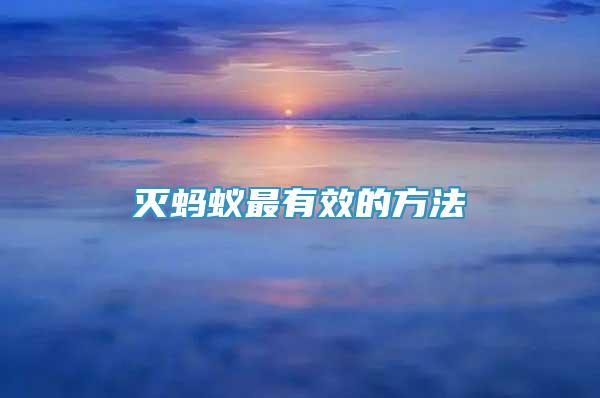 滅螞蟻最有效的方法