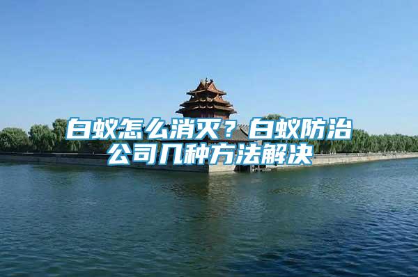 白蟻怎么消滅？白蟻防治公司幾種方法解決