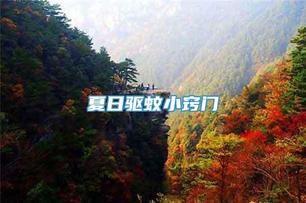 夏日驅(qū)蚊小竅門
