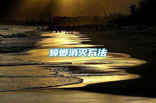 蟑螂消滅方法