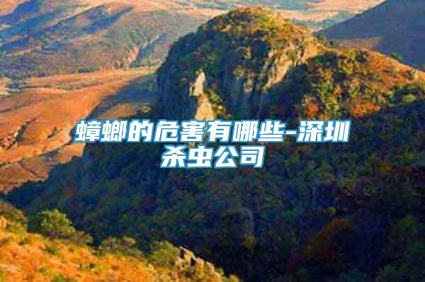 蟑螂的危害有哪些-深圳殺蟲(chóng)公司