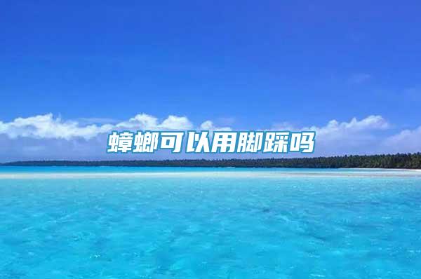 蟑螂可以用腳踩嗎